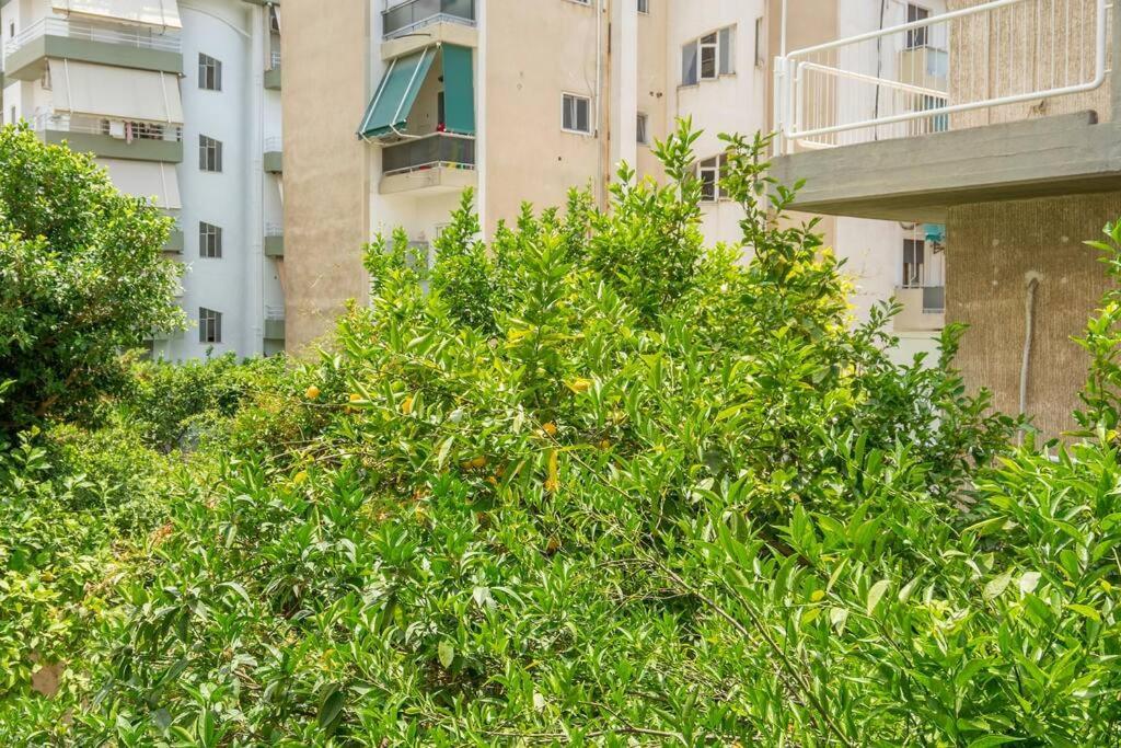 Alimos Sun-Filled Apartment Atenas Exterior foto